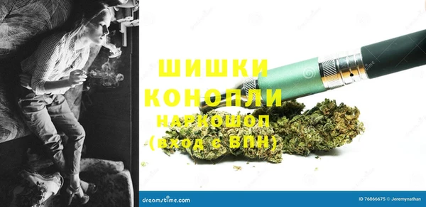 прущие грибы Киренск