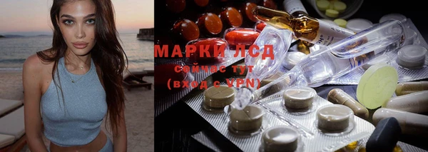 прущие грибы Киренск