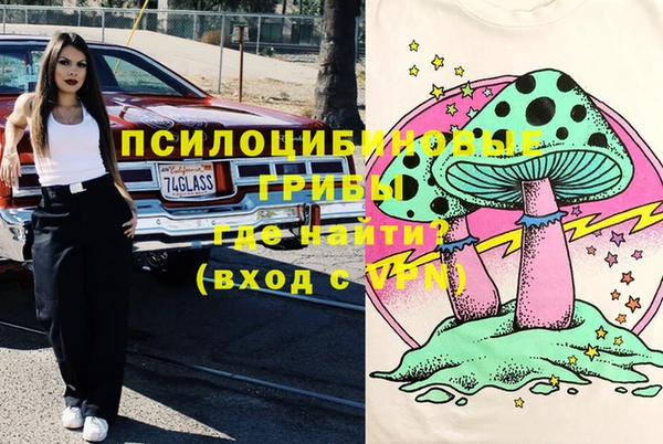прущие грибы Киренск