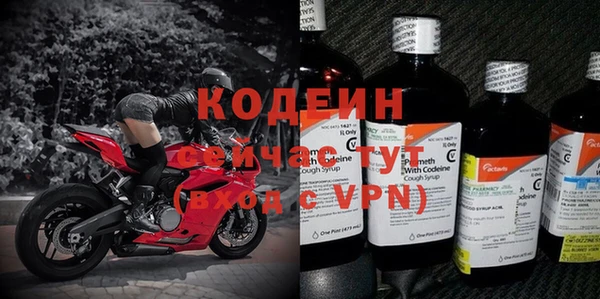 прущие грибы Киренск