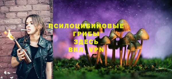 хмурый Киреевск