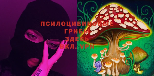 прущие грибы Киренск
