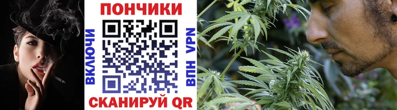 Купить закладки  Будённовск  Бошки Шишки конопля 